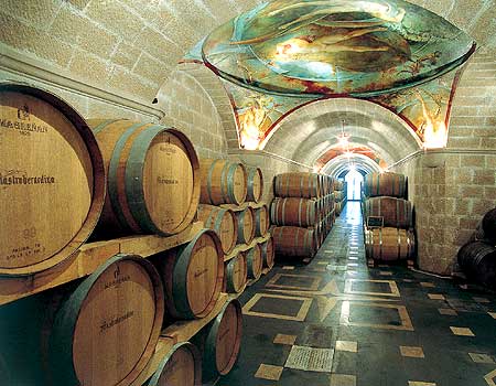 fiano-greco-di-tufo-taurasi-degustazione-in-casa-mastroberardino