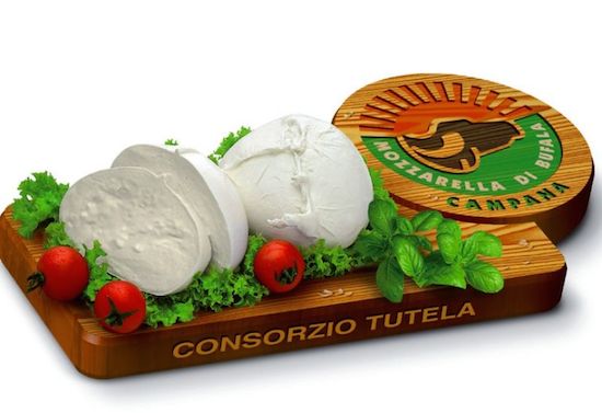 mozzarella di bufala